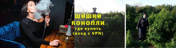 стафф Гусиноозёрск