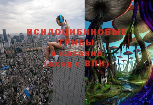 гидропоника Гусев