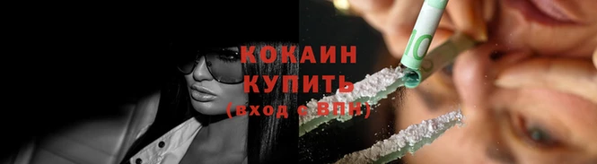 гидропоника Гусев