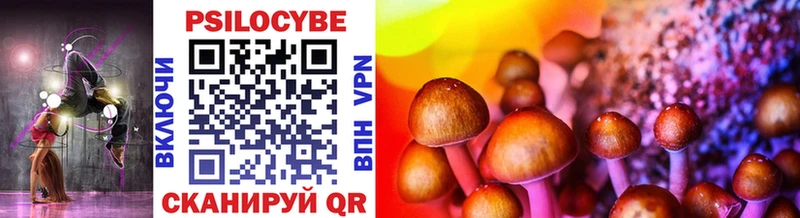 Галлюциногенные грибы Psilocybe  как найти   Морозовск 
